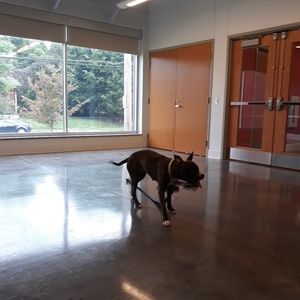 Meet your Posher, Tonya